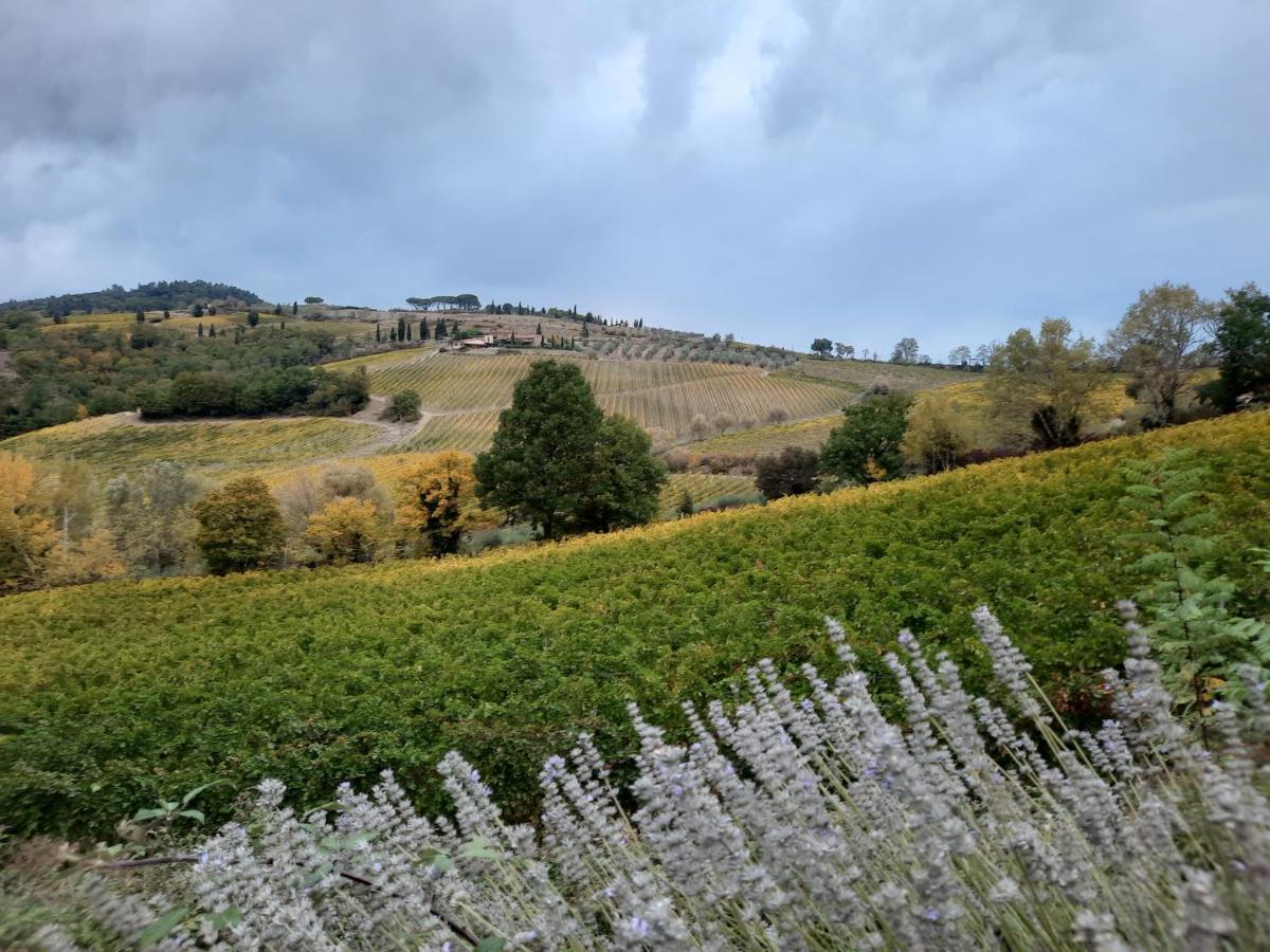 Villa Del Sole San Gimignano Eksteriør bilde