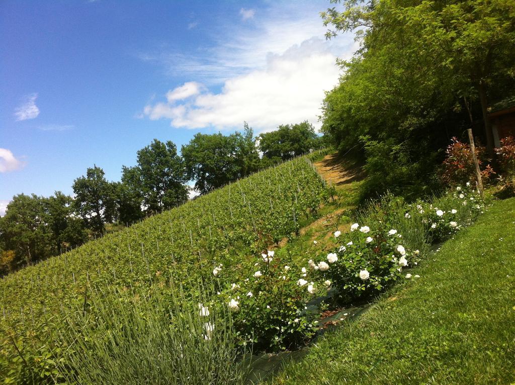 Villa Del Sole San Gimignano Eksteriør bilde