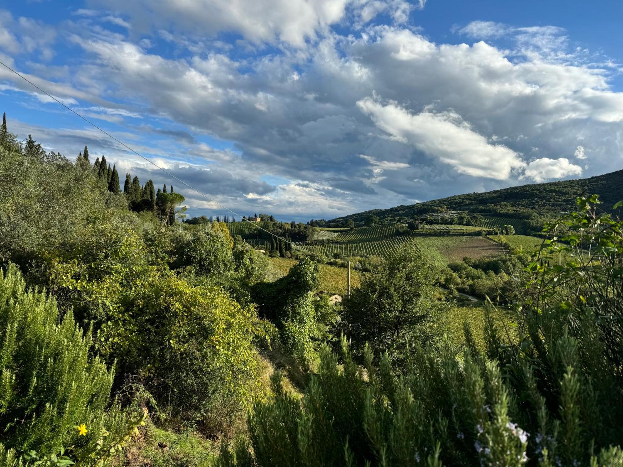 Villa Del Sole San Gimignano Eksteriør bilde